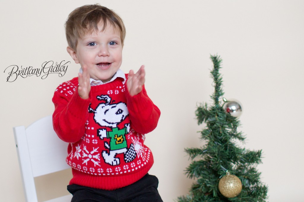 Christmas Mini Sessions | Brittany Gidley Photography LLC | Start With The Best www.brittanygidleyphotography.com