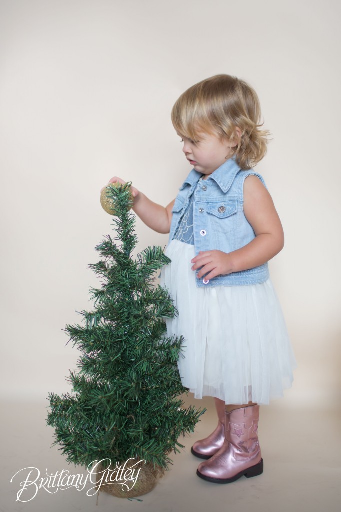 Christmas Mini Sessions | Brittany Gidley Photography LLC | Start With The Best www.brittanygidleyphotography.com
