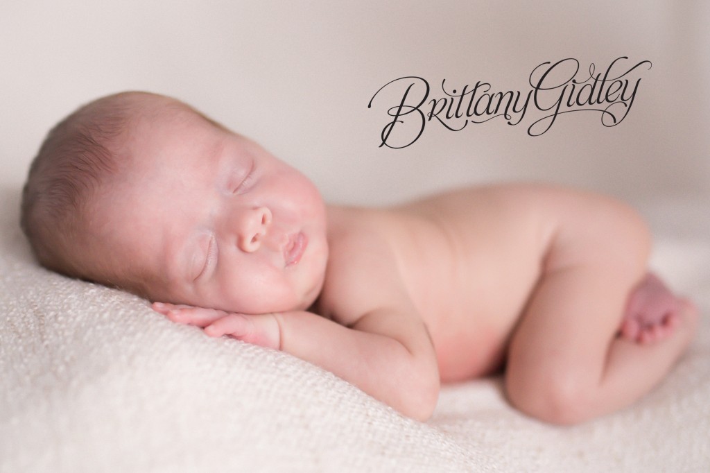 preemie photography