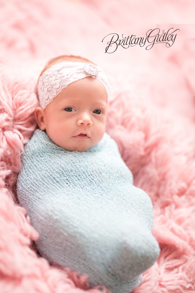 Preemie Photography | Preemie Photographer | Brittany Gidley Photography LLC | Cleveland Ohio