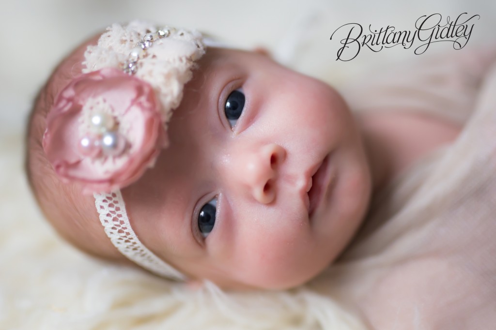 Preemie Photographs | Preemie Photographer | Brittany Gidley Photography LLC | Cleveland Ohio