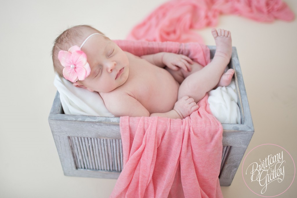 Cleveland Newborn Studio | Cleveland Newborn | Start With The Best | Brittany Gidley Photography LLC