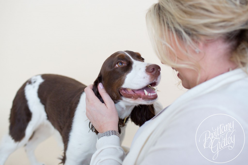 English Springer Spaniel | Furbaby | Pet Photography | Pet Portrait Photography | Pet Pictures | Dog Pictures | Cleveland