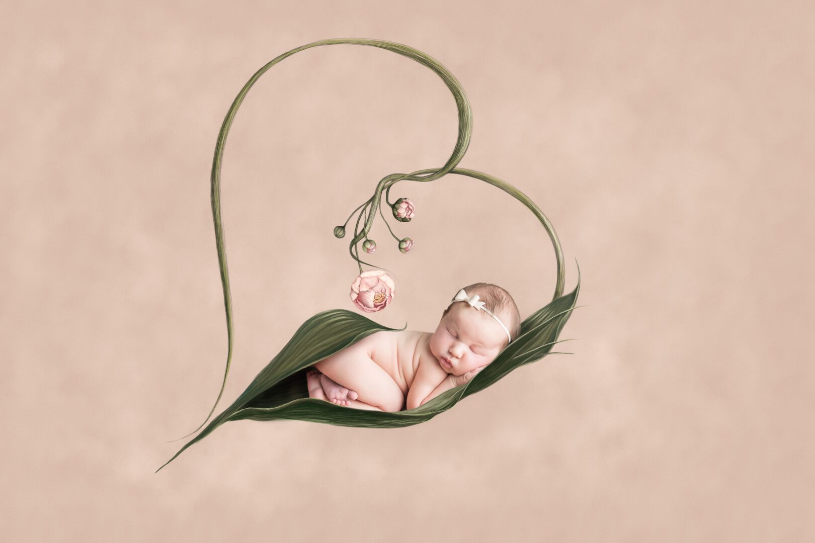 Best Newborn Photographer Cleveland Ohio