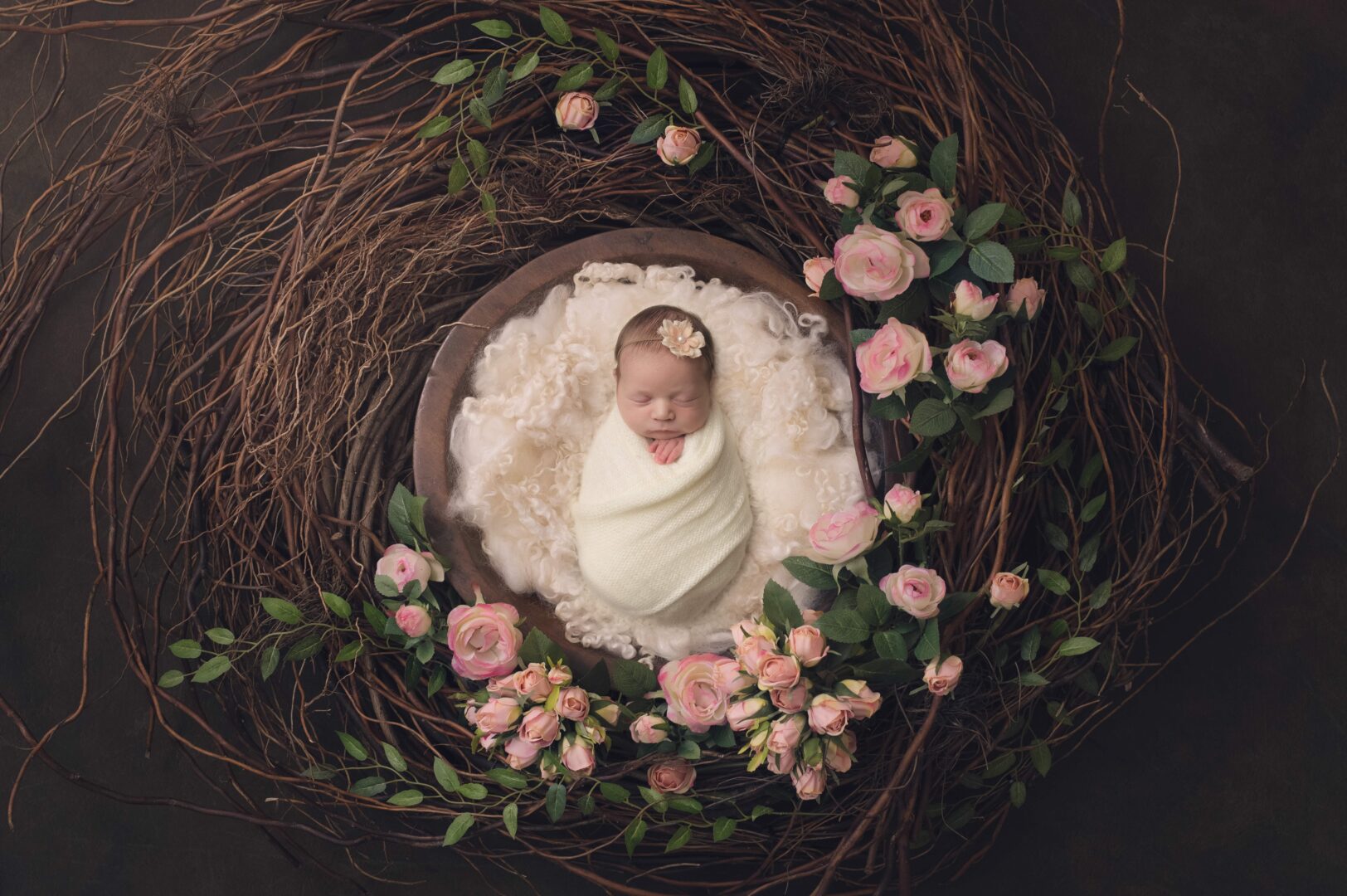 Cleveland Baby Photographer