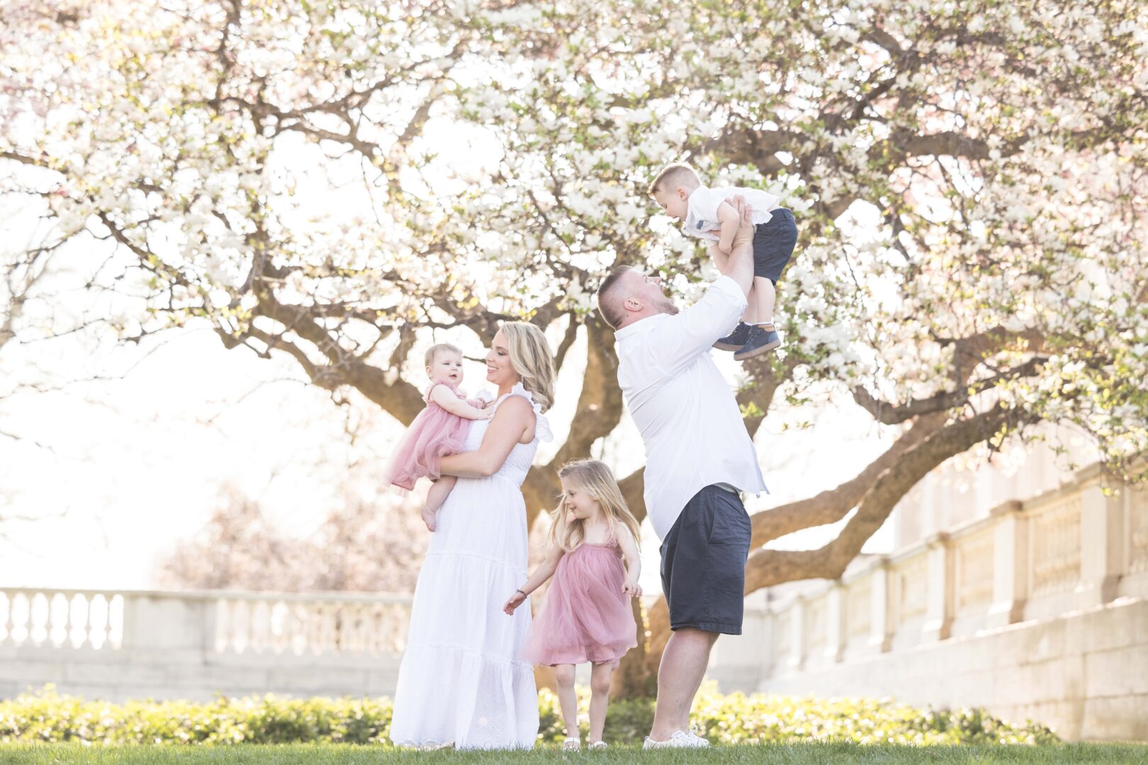 Cherry Blossom Family
