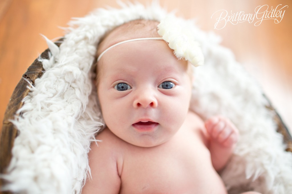 Cleveland Newborn Photography | Cleveland Newborn | Start With The Best | Brittany Gidley Photography LLC