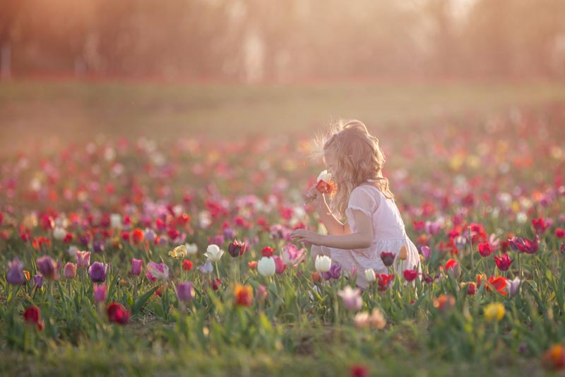 America's Best Child Photographer