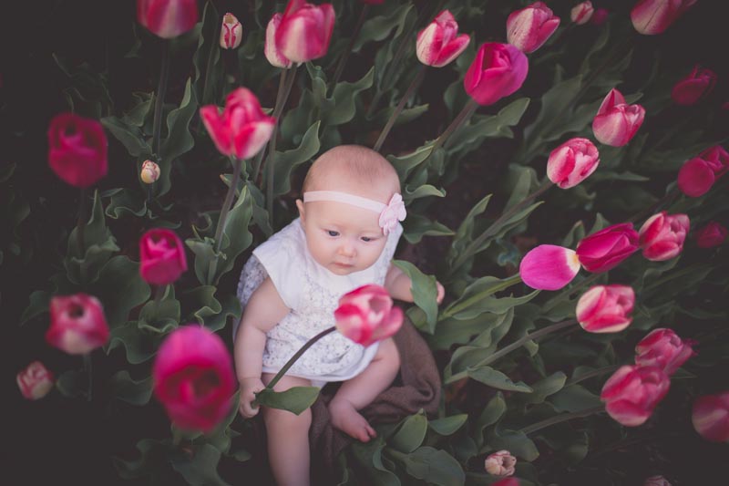 Best Baby Photographer Cleveland