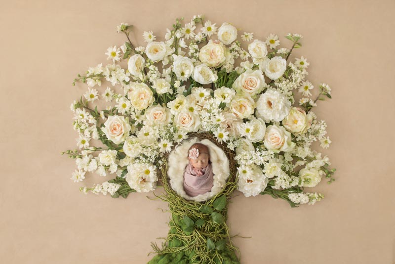 Cleveland Newborn Photographer
