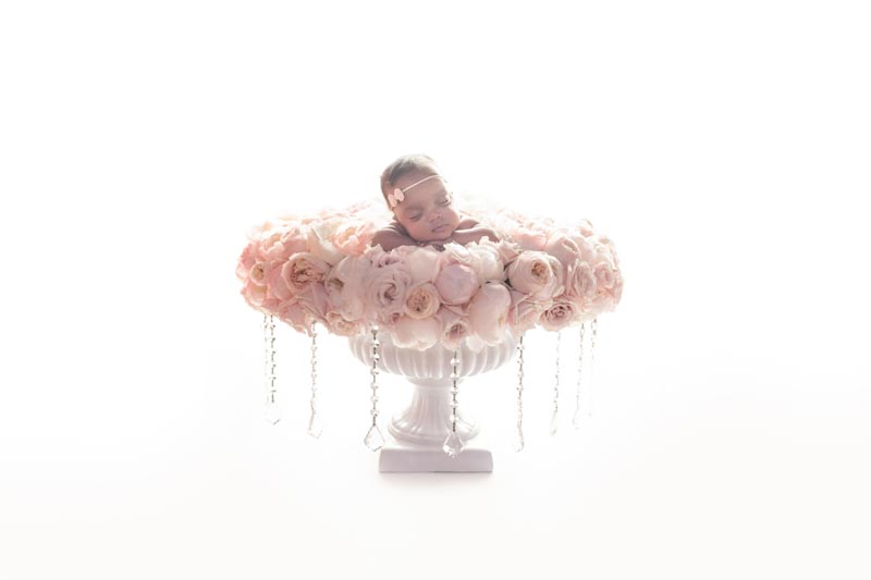 Cleveland Newborn Photography
