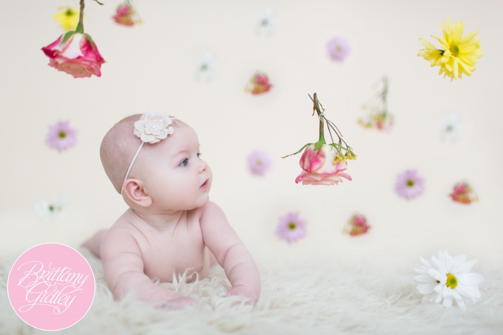Cleveland Baby Photographer | Cleveland Baby Photography | Start With The Best | Flowers | Inspiration | Baby Photo Shoot Inspiration | Photoshoot | Best Baby Ideas | Backdrop Ideas | Studio | Natural Light | Canon | Baby Studio | Cleveland Studio
