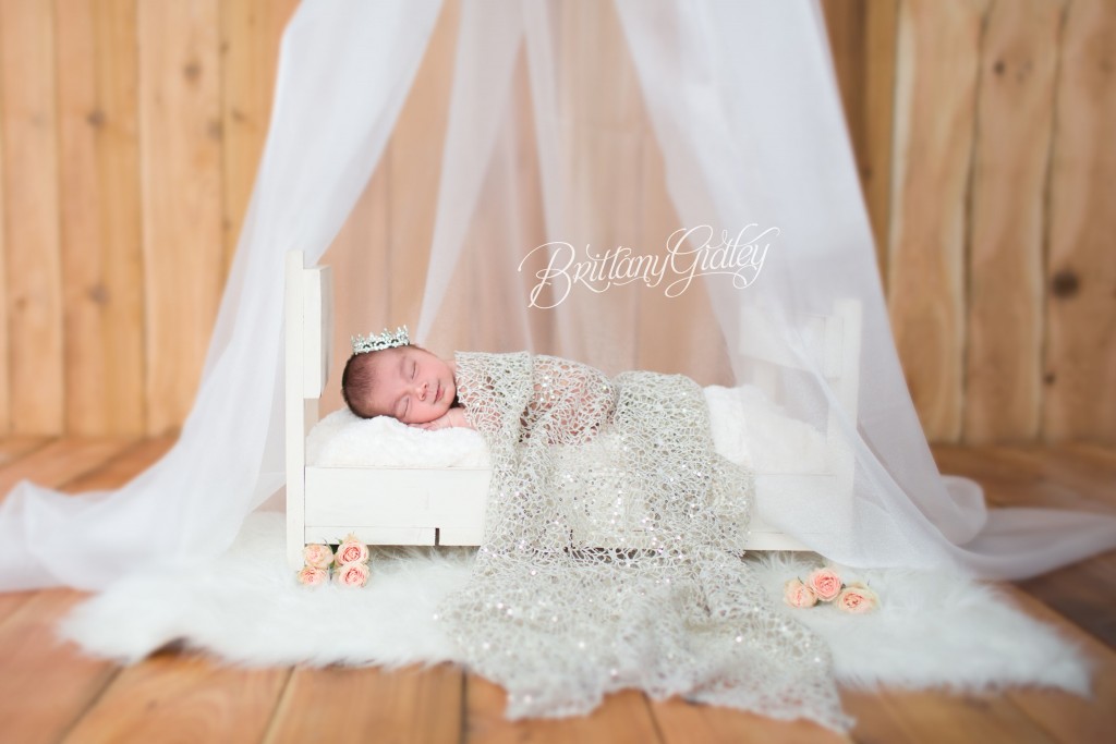 Newborn Photographer Cleveland | Ohio Newborn Photography | Newborn Photographer | Cleveland Ohio | 44114 | Northeast Ohio Baby Photographer | Best Baby Photography | Best Baby Photographer | Cleveland Best Baby Photographer | Cleveland Best Baby Photography