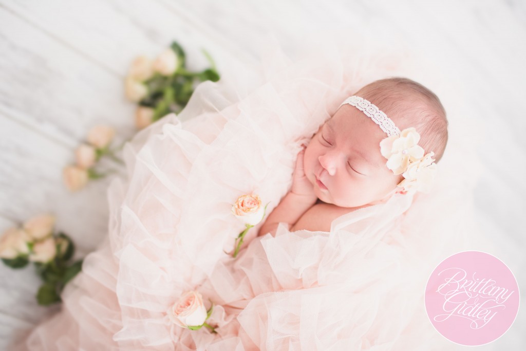 Newborn Photography Inspiration | Newborn Photography Ideas | Newborn Photography | Newborn Photographer | Cleveland Ohio | 44114 | Northeast Ohio Baby Photographer | Best Baby Photography | Best Baby Photographer | Cleveland Best Baby Photographer | Cleveland Best Baby Photography
