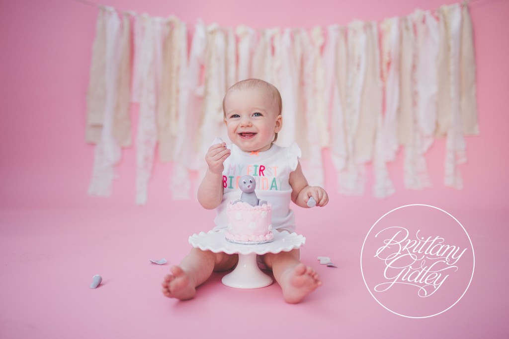 Cake Smash | Baby Photography Inspiration | 12 Month Baby Photographer | Baby Photography | First Year | Baby Photographer | 12 Month Old Baby | Cleveland Ohio 