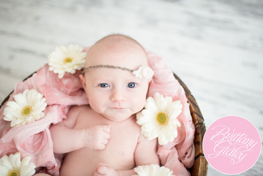 2 Month Old | Start With The Best | Brittany Gidley Photography LLC | Studio | Nautral Light | Ohio Photographer | Cleveland Photographer