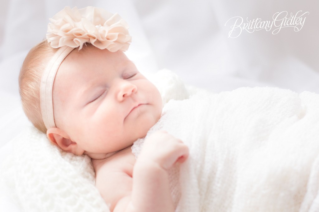 Cleveland Photo Shoot | Baby Photography Cleveland | Ohio Baby Photographer | 6 Week Old Baby | Family Pic