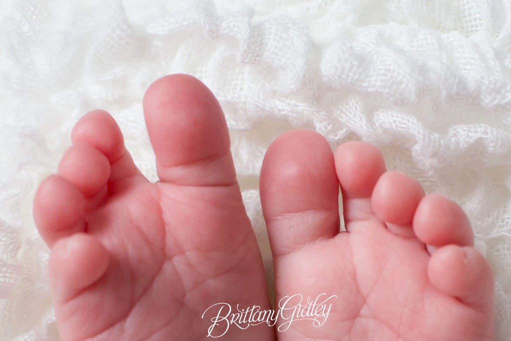 Cleveland Photo Shoot | Baby Photography Cleveland | Ohio Baby Photographer | 6 Week Old Baby | Baby Feet