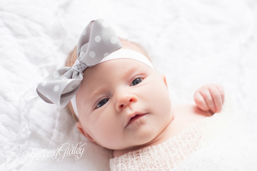 Cleveland Photo Shoot | Baby Photography Cleveland | Ohio Baby Photographer | 6 Week Old Baby | Baby 