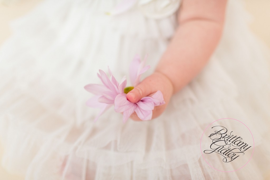 Cake Smash Photographer | Studio | Natural Light | Canon | Cleveland Ohio | 44114 | Best Child Photographer | Best Child Photography | Best Family Photographer | Best Family Photography