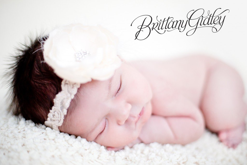 Newborn Photographer Cleveland | Cleveland Newborn Photographer | Photography | Newborn | Newborn Posing | Newborn Inspiration | Cleveland Ohio | Cleveland Photographer