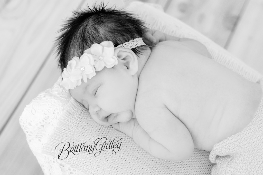 Newborn Photographer Cleveland | Cleveland Newborn Photographer | Photography | Newborn | Newborn Posing | Newborn Inspiration | Cleveland Ohio | Cleveland Photographer