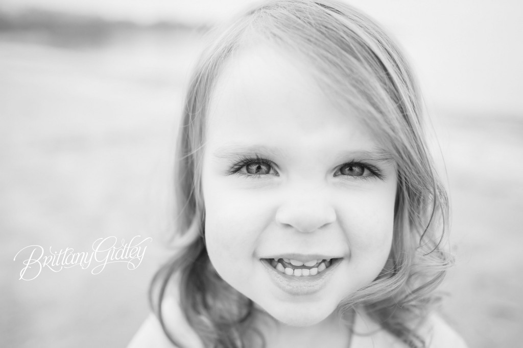 Beach | Sisters | Cleveland | Edgewater Beach | Family | Gray and Yellow | Brittany Gidley Photography LLC