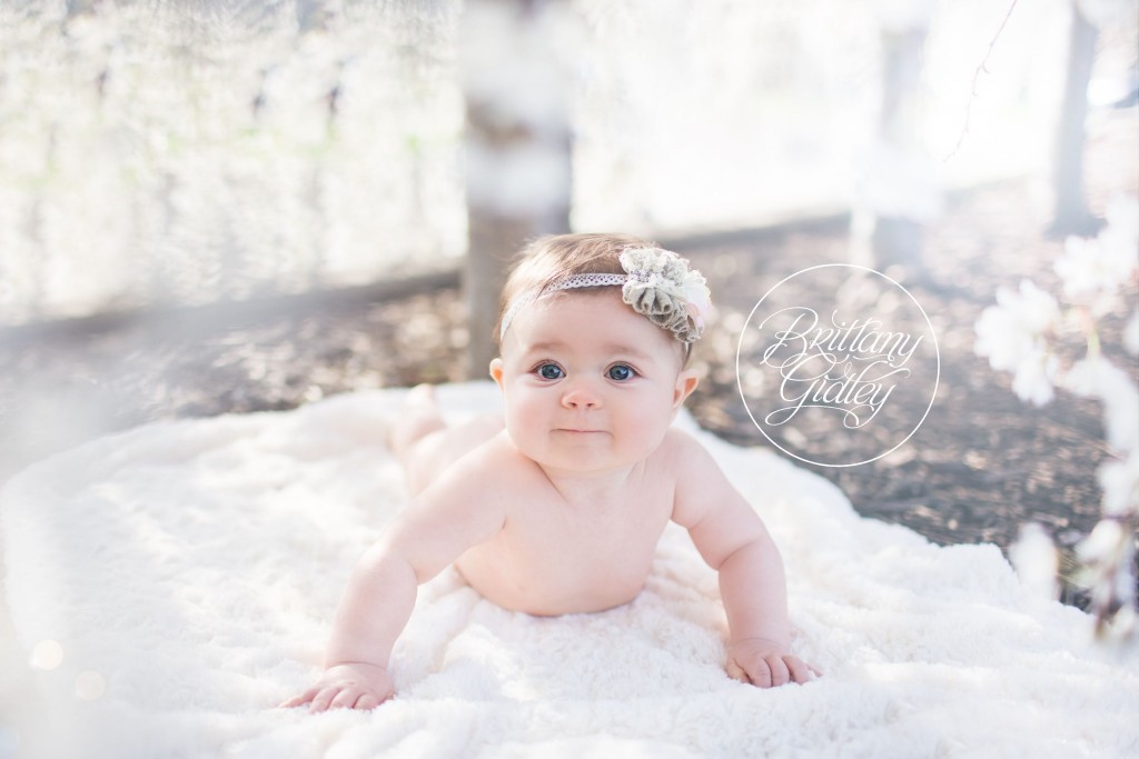 Baby | Flowers | White | Ivory | Start With The Best | Brittany Gidley Photography LLC | 6 Months