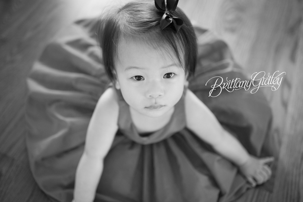 Birthday Party Photographer | Cleveland, Ohio | Solon, Ohio | 12 Month Birthday Party Inspiration
