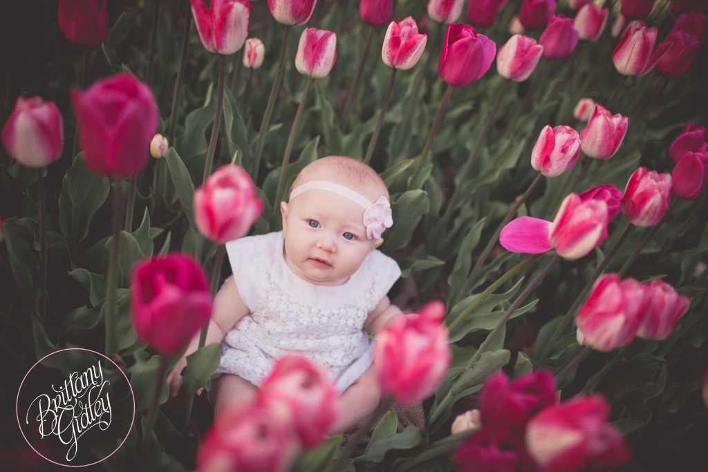 Best Baby Photographer | Baby Photography | 6 Months | Cleveland Ohio