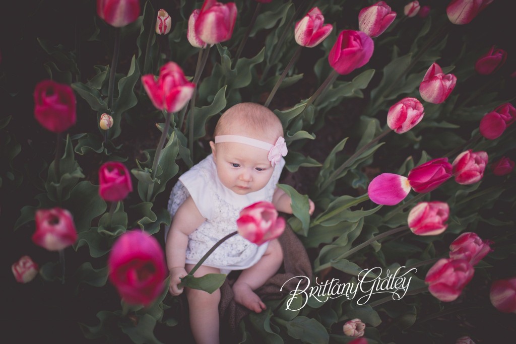 Best Cleveland Baby Photography | Baby & Child Photography | Photographer | Tulips | Inspiration | 6 Months Old | Cleveland Ohio