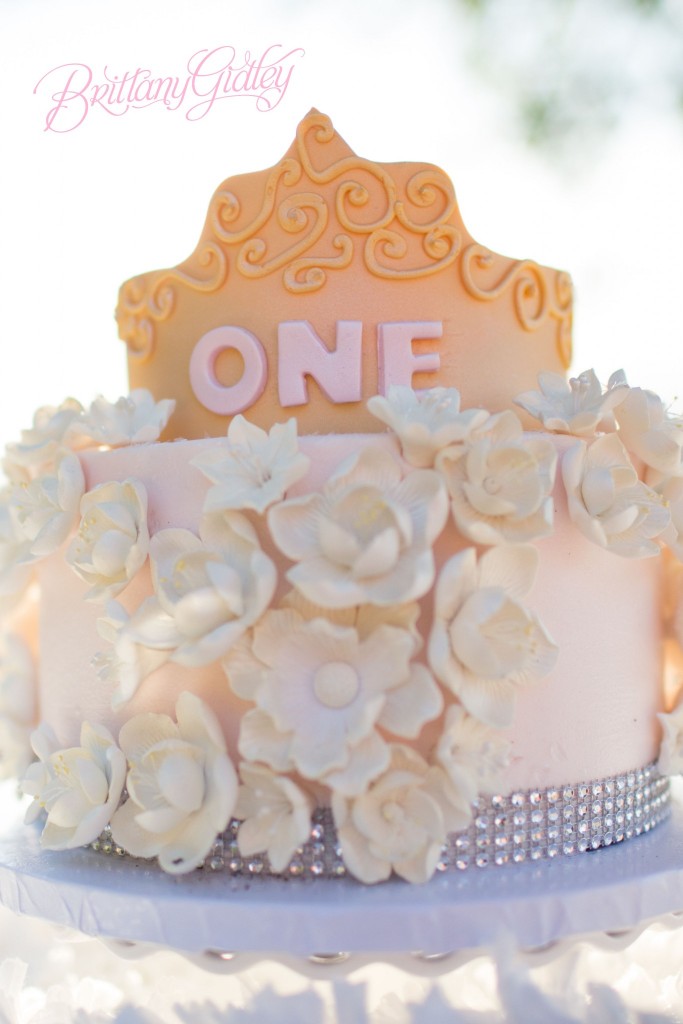 Cake Smash | Baby Photography | Baby Photographer | Start With The Best | Brittany Gidley Photography LLC