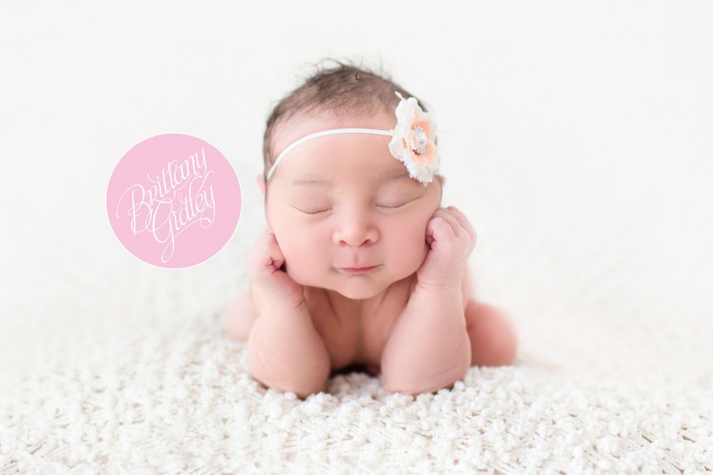Best Newborn Photographer | Inspiration | Newborn Photo Shoot |  Newborn Photography | Posing Newborn | Brittany Gidley Photography LLC