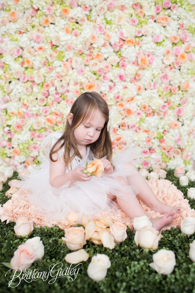 Whimsical Beautiful Photography | Tutu Du Monde | Le Petit Tom | Photo Shoot | Brittany Gidley Photography LLC