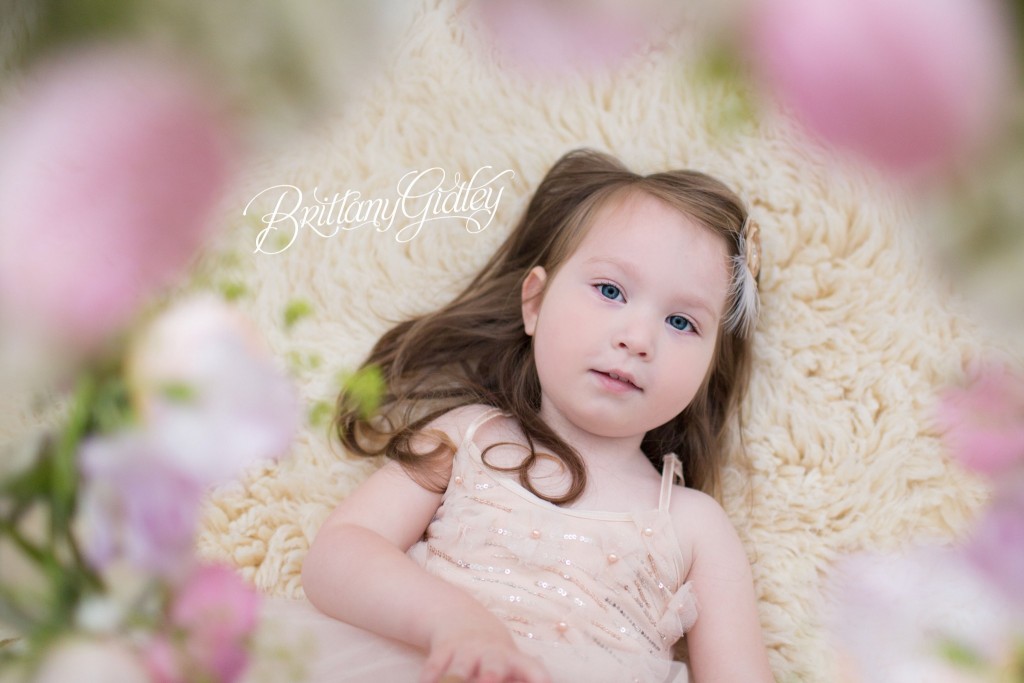 Fairy Tale Photo Shoot | Best Photographer | Brittany Gidley Photography LLC