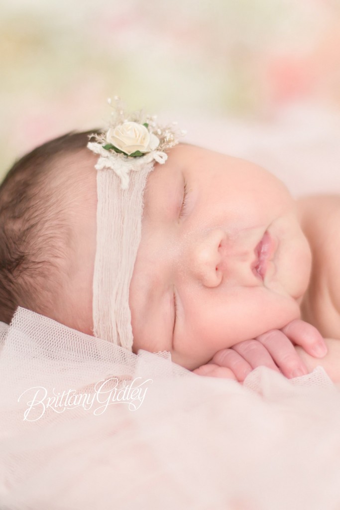 Newborn Photography | Newborn Photographer | Cleveland Newborn Photographer | Fresh Floral | Photo Shoots | Photography Studio | Ohio Photographer | Creative Photography | Newborn Photography Inspiration | Photo Shoot Ideas | Cleveland's Top Photographer | Cleveland's Best Photographer