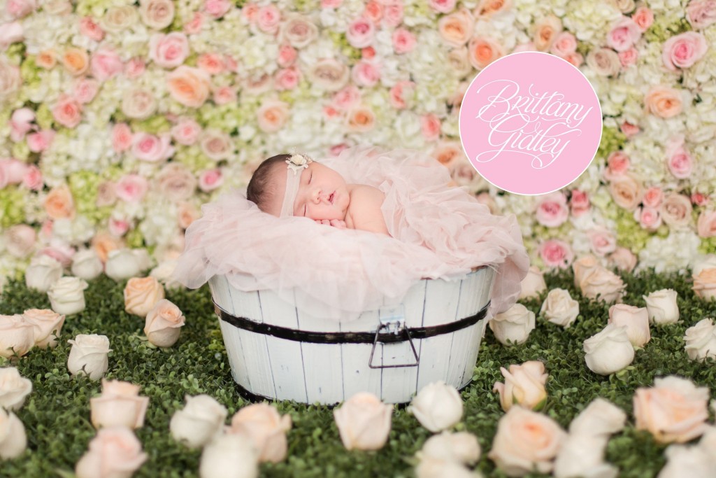 Newborn Photography | Newborn Photographer | Cleveland Newborn Photographer | Fresh Floral | Photo Shoots | Photography Studio | Ohio Photographer | Creative Photography | Newborn Photography Inspiration | Photo Shoot Ideas | Cleveland's Top Photographer | Cleveland's Best Photographer