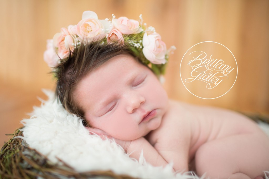 Floral Halo | Newborn Nest | Newborn Photography | Natural Light | Start With The Best | Brittany Gidley Photography LLC