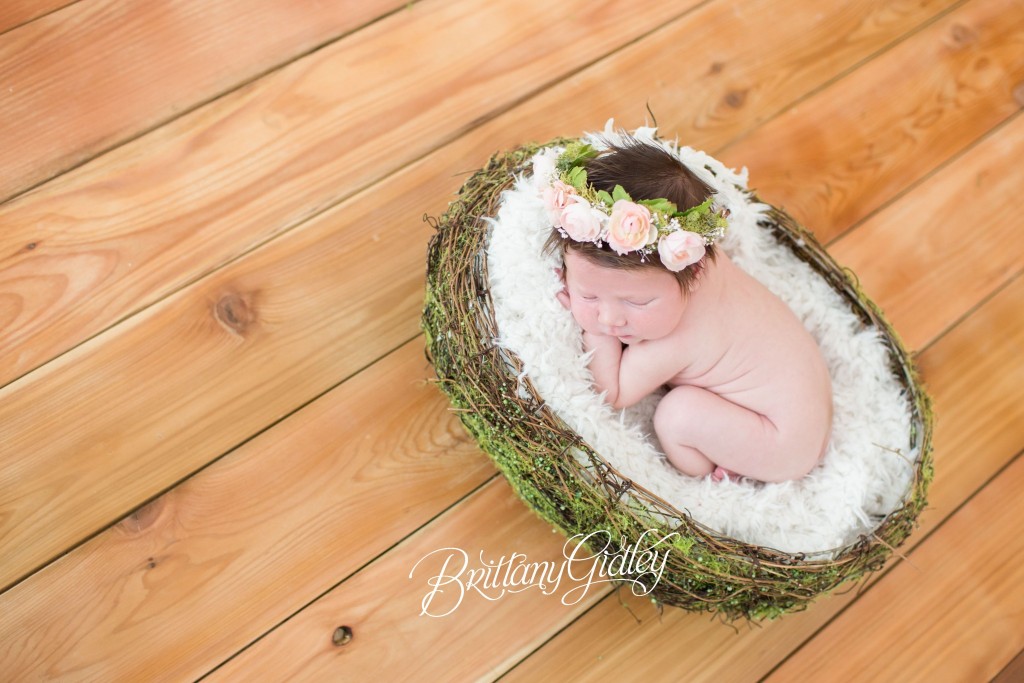 Floral Halo | Newborn Nest | Newborn Photography | Natural Light | Start With The Best | Brittany Gidley Photography LLC
