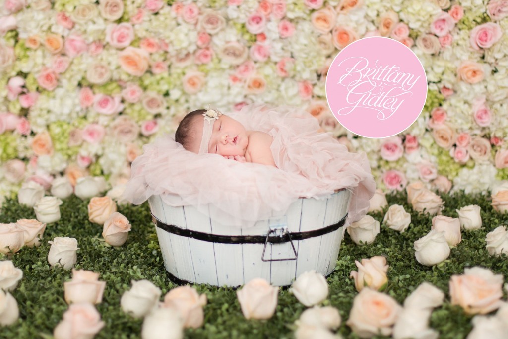 Clevelands Best Newborn Photographer | Newborn Inspiration | Flower Wall | Heatherlily for Brittany Gidley Photography LLC