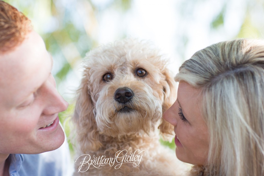 Cleveland Pet Photographer | Maternity Photography | Beach | Sunset | Sun | Sand | Pregnancy | Photos | Cleveland Ohio | Northeast Ohio | Pregnancy Photographer | Newborn Photographer Cleveland | Edgewater Beach | Cleveland Metroparks