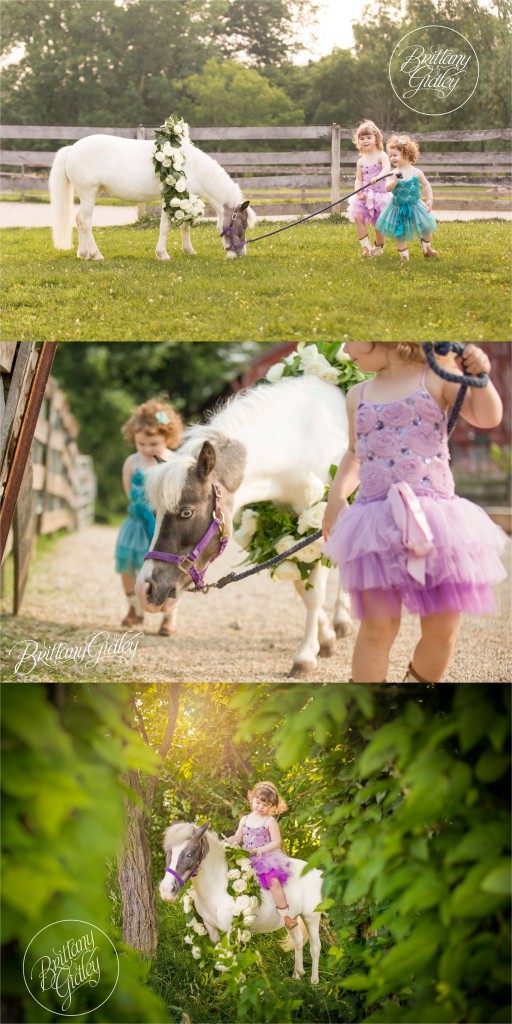 Pony Princesses | Cleveland Ohio | Dream Sessions | Dream Session | Child Photographer | Child Photography | Best Child Photographer