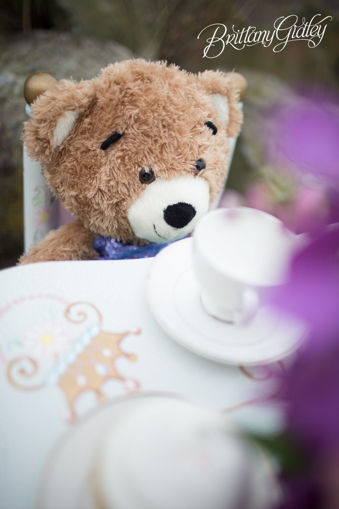 Teddy Bear Tea Party | Cleveland Ohio | Child Photography | Child Photographer | Brittany Gidley Photography LLC
