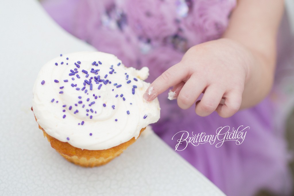 Colossal Cupcakes | Cake Smash | Photographer | Purple