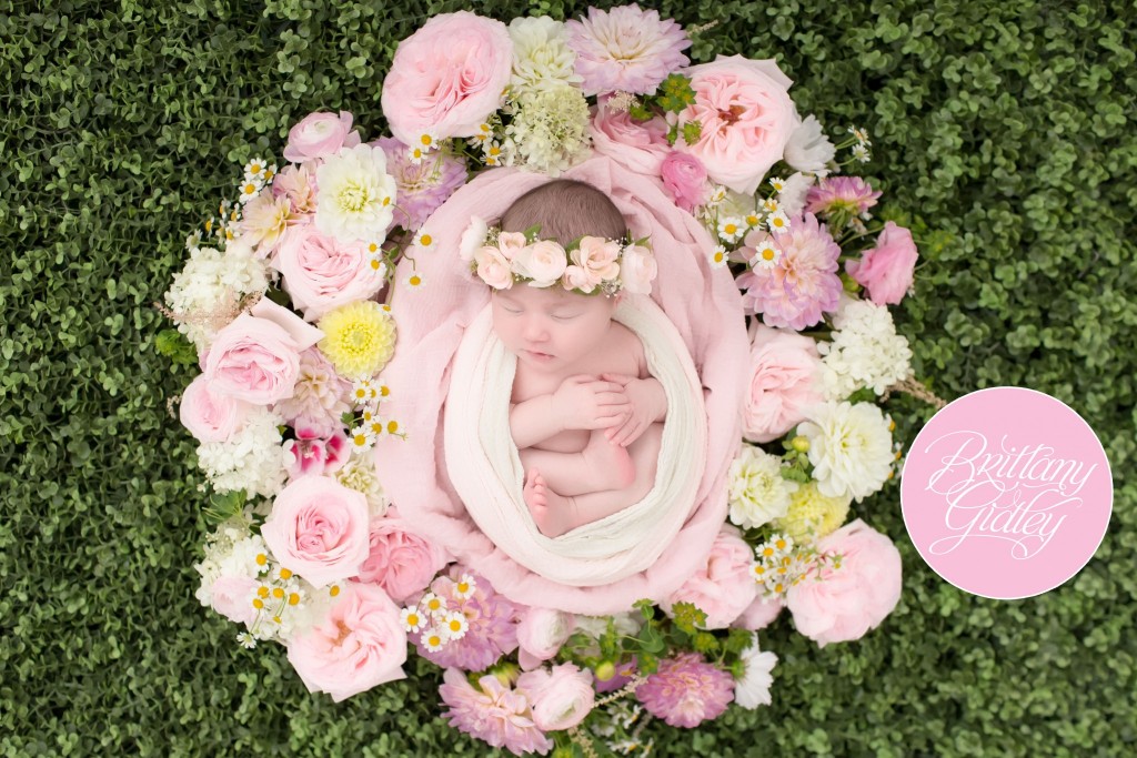 Cleveland Ohio Newborn Photography | Cleveland, Ohio | Newborn Photographer | Newborn Photography | Newborn Baby Girl | Newborn Inspiration