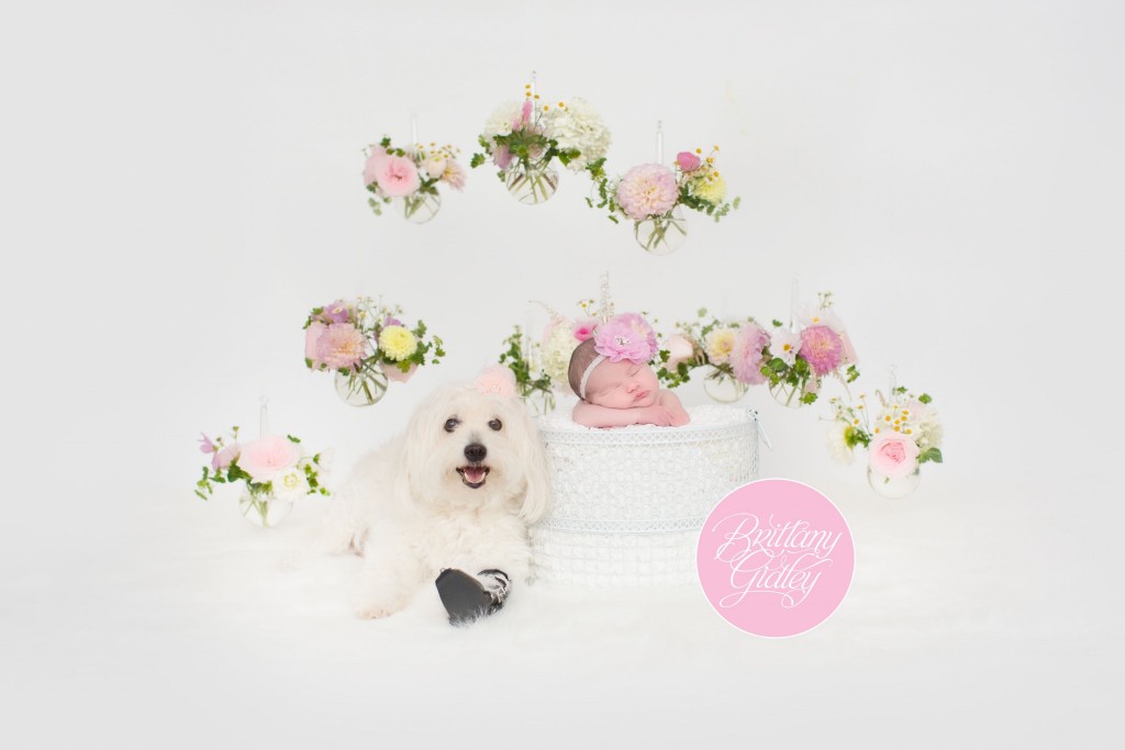 Cleveland Ohio Newborn Photography | Cleveland, Ohio | Newborn Photographer | Newborn Photography | Newborn Baby Girl | Newborn Inspiration