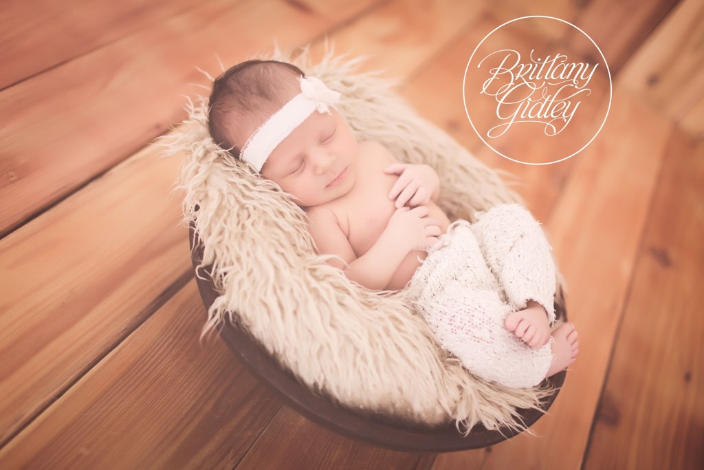 Erie Pennsylvania Newborn Photography | Erie Pennsylvania Newborn Photographer | Newborn Session | Baby Girl | Newborn Baby