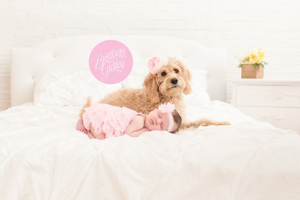 Cleveland Baby Photographer | Baby Photography | Baby and Dog