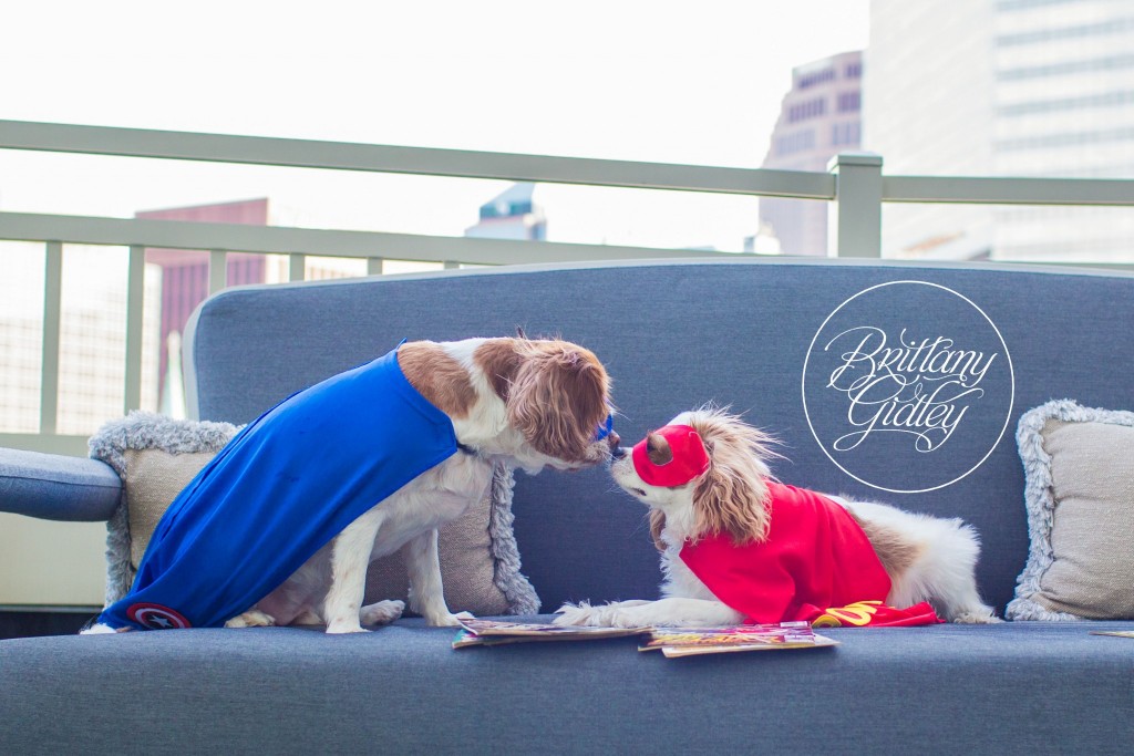 Superhero Dream Session | Downtown Cleveland | Brittany Gidley Photography LLC | Avengers Photo Shoot