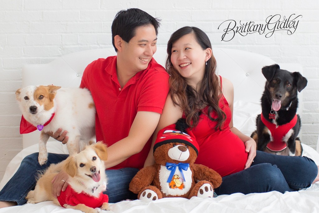 Rainbow Baby | Pregnancy | Maternity | Brittany Gidley Photography LLC | Maternity Photography Studio